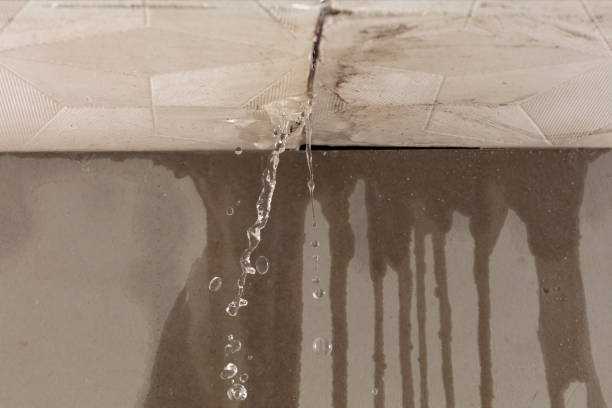 Professional Structural Drying technician working in Petersburg, NY